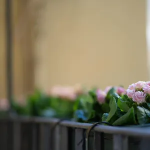 Pgrhome Croce Apartment